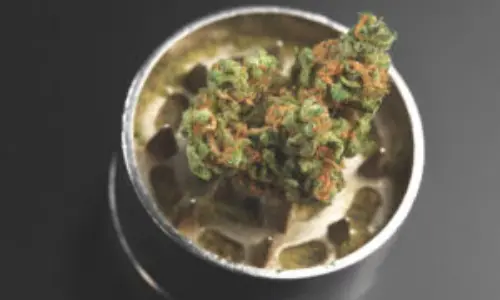 Medical marijuana image