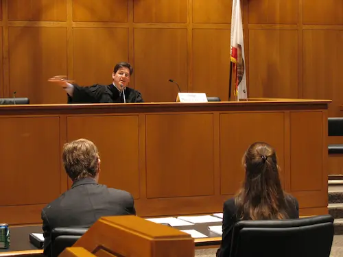 Judge in Courtroom